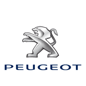 Peugeot- Standardmodule